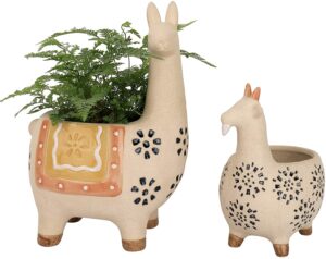 Animal Succulent Planter Pots Gifts That Start With The Letter A