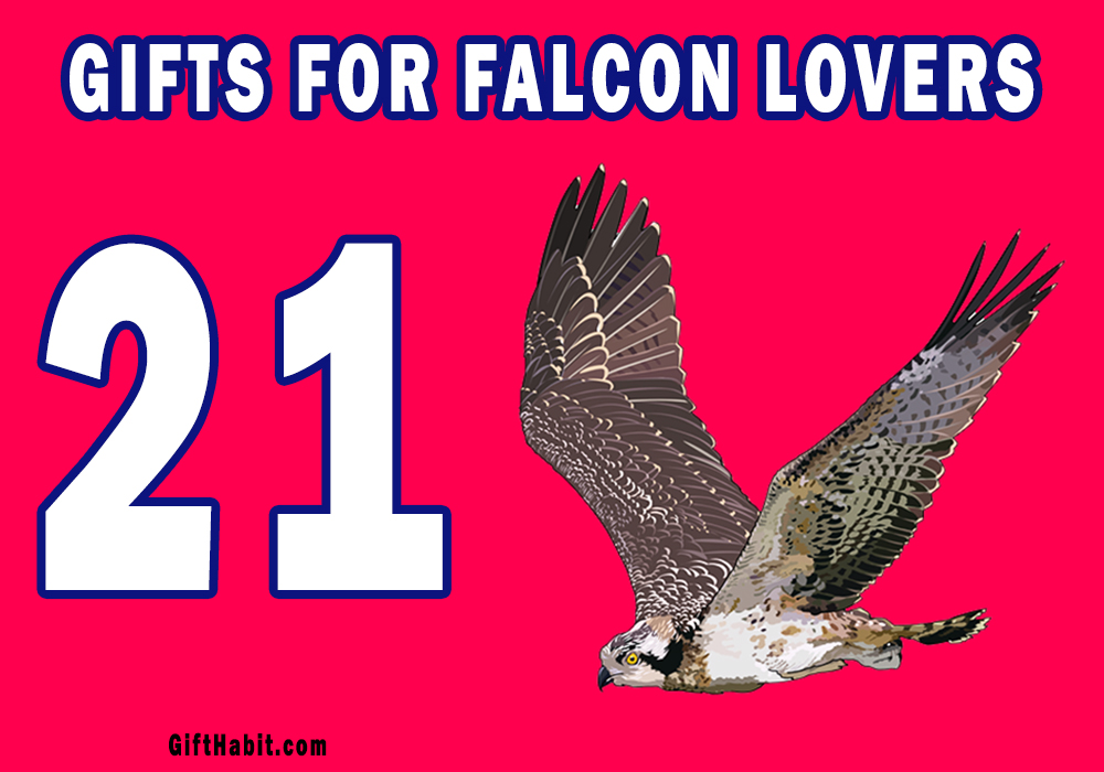 Best Falcon Gifts For Bird Lovers