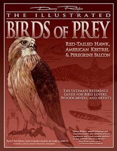 Birds of Prey Guide