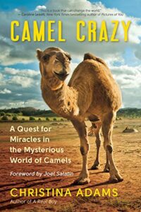 Camel Crazy Book Alphabet C Gifts