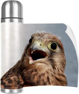 Falcon Water Bottle