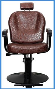 Salon Barber Chair
